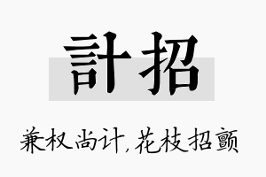 计招名字的寓意及含义