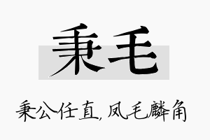 秉毛名字的寓意及含义