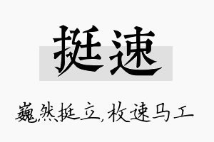 挺速名字的寓意及含义