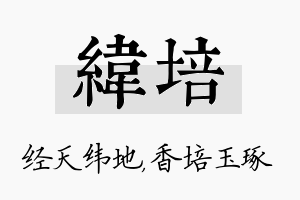 纬培名字的寓意及含义