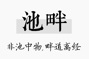 池畔名字的寓意及含义