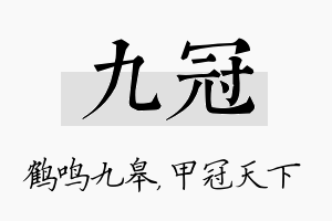 九冠名字的寓意及含义