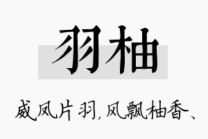 羽柚名字的寓意及含义