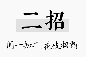 二招名字的寓意及含义