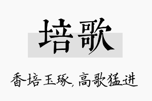 培歌名字的寓意及含义