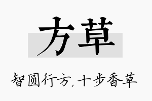 方草名字的寓意及含义