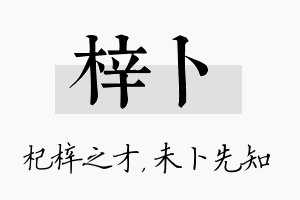 梓卜名字的寓意及含义