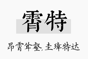 霄特名字的寓意及含义