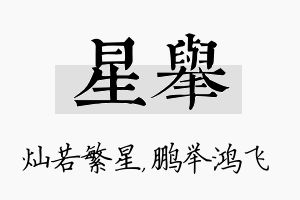 星举名字的寓意及含义