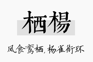 栖杨名字的寓意及含义