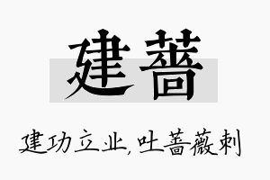 建蔷名字的寓意及含义