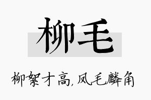 柳毛名字的寓意及含义