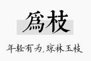 为枝名字的寓意及含义