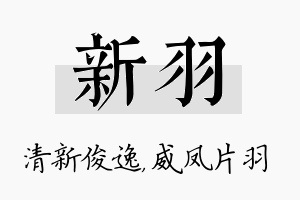 新羽名字的寓意及含义