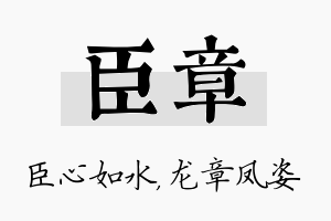 臣章名字的寓意及含义