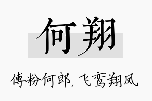 何翔名字的寓意及含义