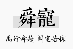 舜宠名字的寓意及含义