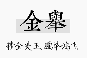 金举名字的寓意及含义