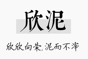 欣泥名字的寓意及含义