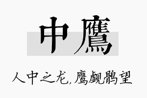 中鹰名字的寓意及含义