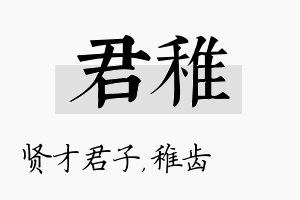 君稚名字的寓意及含义