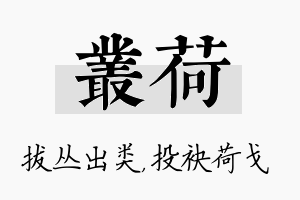 丛荷名字的寓意及含义