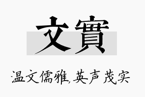 文实名字的寓意及含义