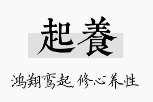 起养名字的寓意及含义