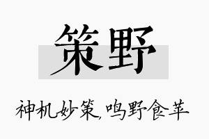 策野名字的寓意及含义