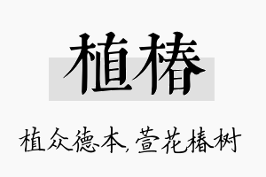 植椿名字的寓意及含义