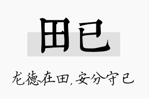 田已名字的寓意及含义