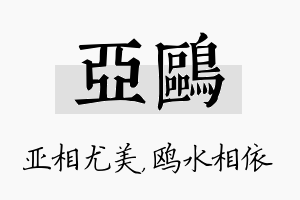 亚鸥名字的寓意及含义