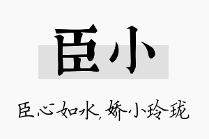 臣小名字的寓意及含义