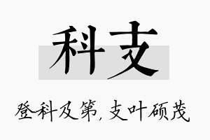 科支名字的寓意及含义