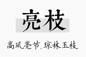 亮枝名字的寓意及含义