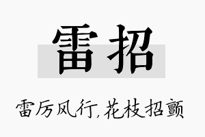 雷招名字的寓意及含义