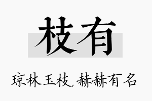 枝有名字的寓意及含义