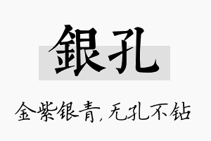 银孔名字的寓意及含义