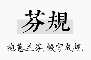 芬规名字的寓意及含义