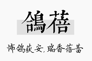 鸽蓓名字的寓意及含义