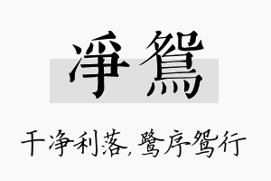 净鸳名字的寓意及含义