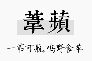 苇苹名字的寓意及含义