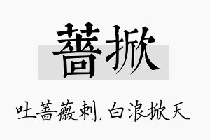 蔷掀名字的寓意及含义