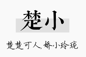 楚小名字的寓意及含义