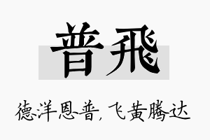 普飞名字的寓意及含义