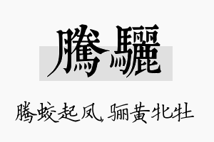 腾骊名字的寓意及含义