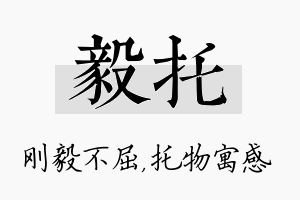 毅托名字的寓意及含义