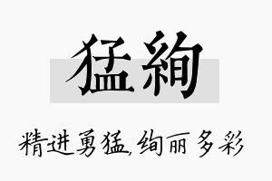 猛绚名字的寓意及含义