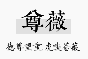 尊薇名字的寓意及含义