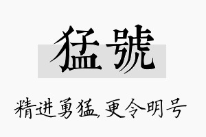 猛号名字的寓意及含义